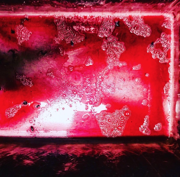 vino rosso in fermentazione ca tessitori